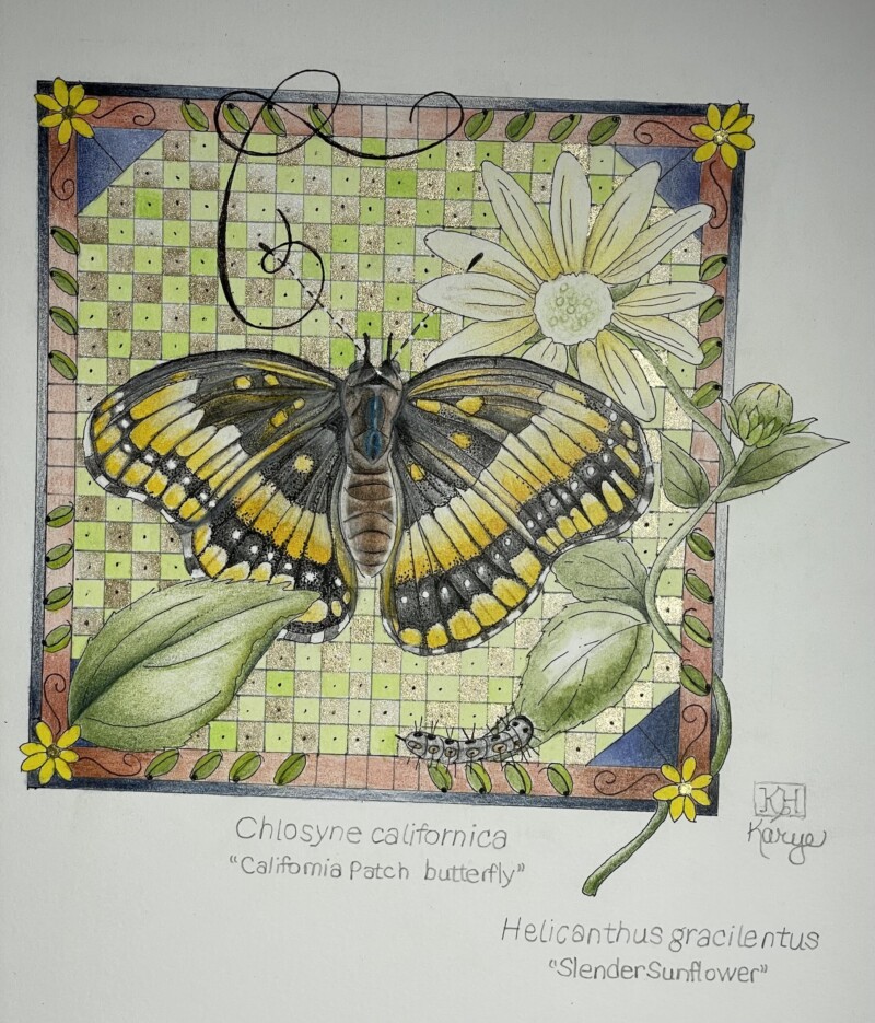 illuminated-butterfly-mixed-media