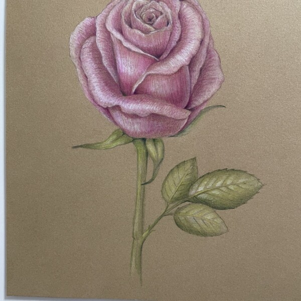 Rose on Kraft paper from the recent Zoom workshop
