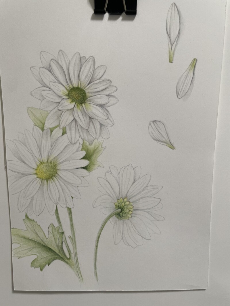 daisies-added-more-from-white-flowers-workshop