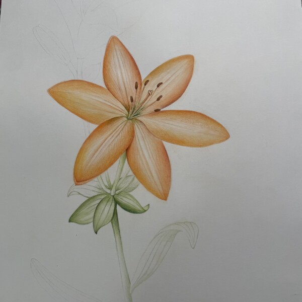 Playing with orange