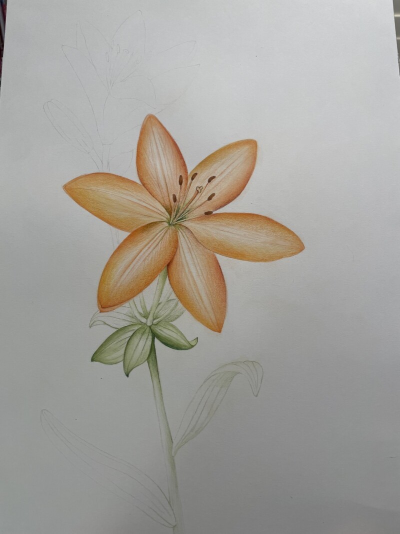playing-with-orange