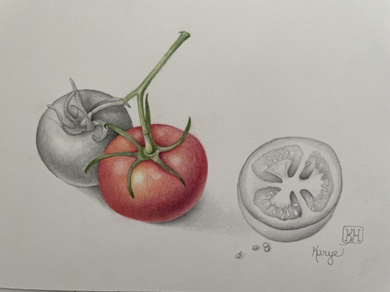 tomatoes-in-colored-pencil-graphite