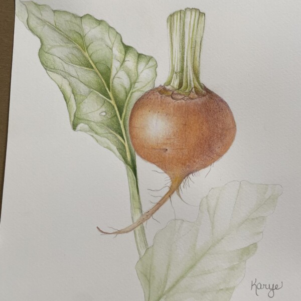 Golden Beet in process from the Root Vegetable Workshop