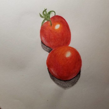 16388126_10212051494830557_4435575507532532542_n