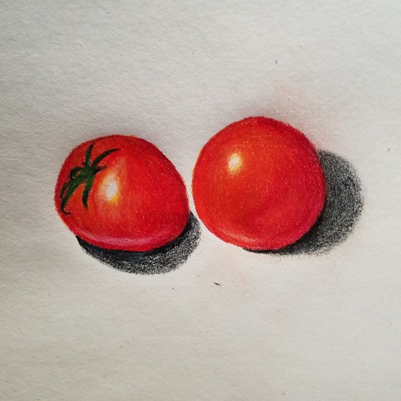 16473673_10212049130051439_7691034476977322944_n