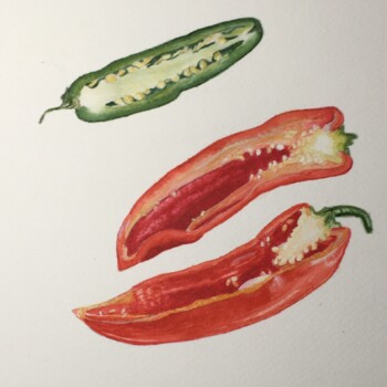 watercolor-peppers