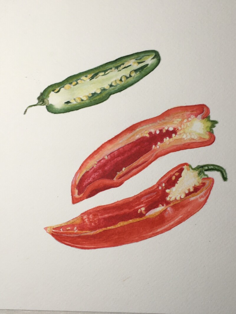 watercolor-peppers