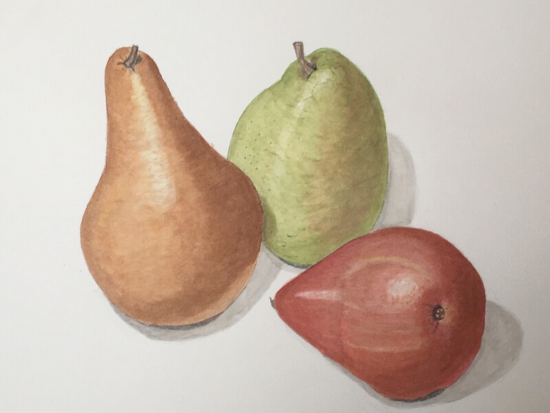 pears-4