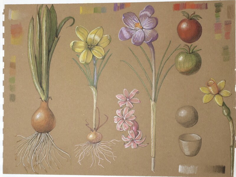 kraft-paper-spring-bulbs-workshop