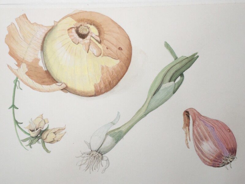 papery-textures-workshop