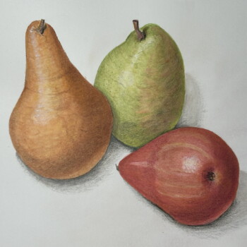 pears-4-revised-dec-23