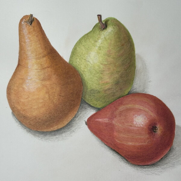Pears 4 Revised Dec 23