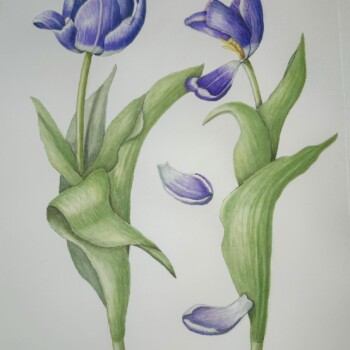 purple-tulips-final