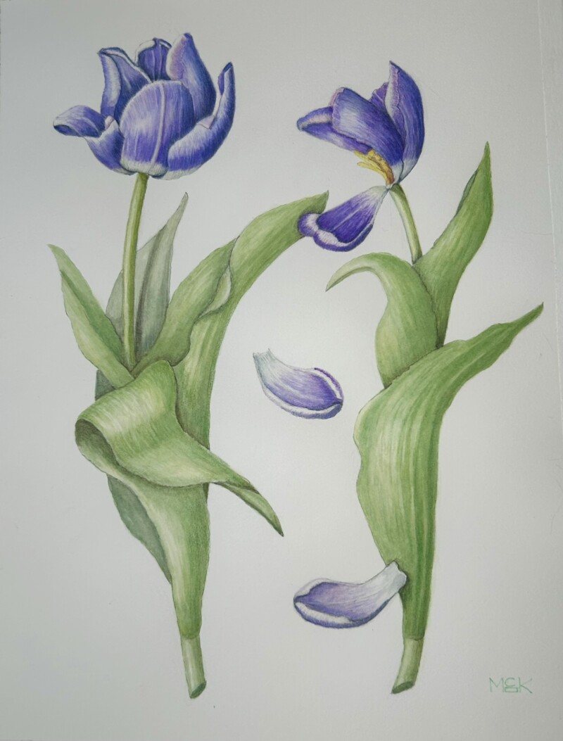 purple-tulips-final