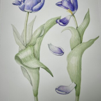 tulip-composition3