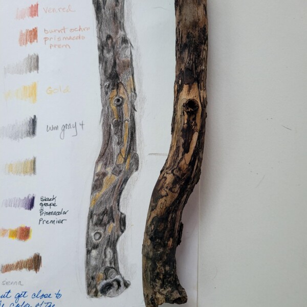 Hart Lesson 13 big stick