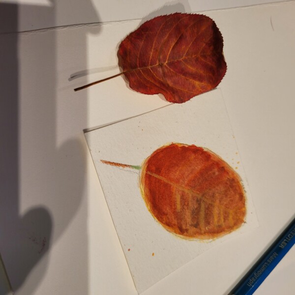 leaf color 2