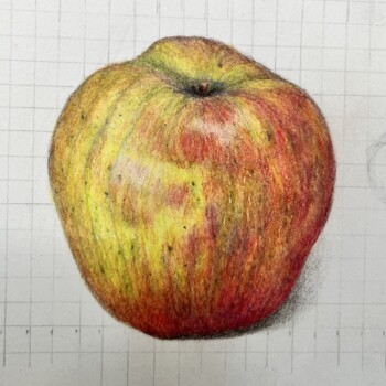bb-27-applying-pattern-to-x-contour-apple