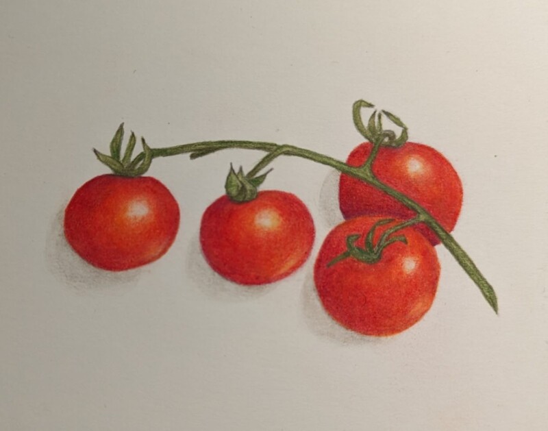 fourcherrytomatoes-sb