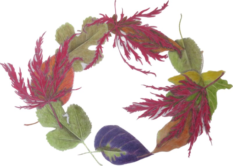 leaf-wreath