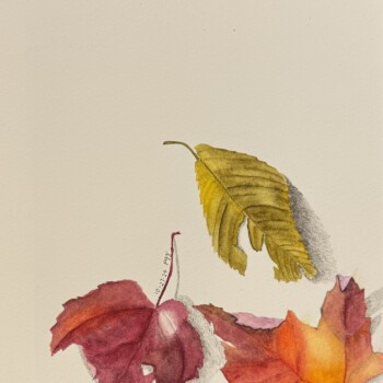 24-1027-leaves