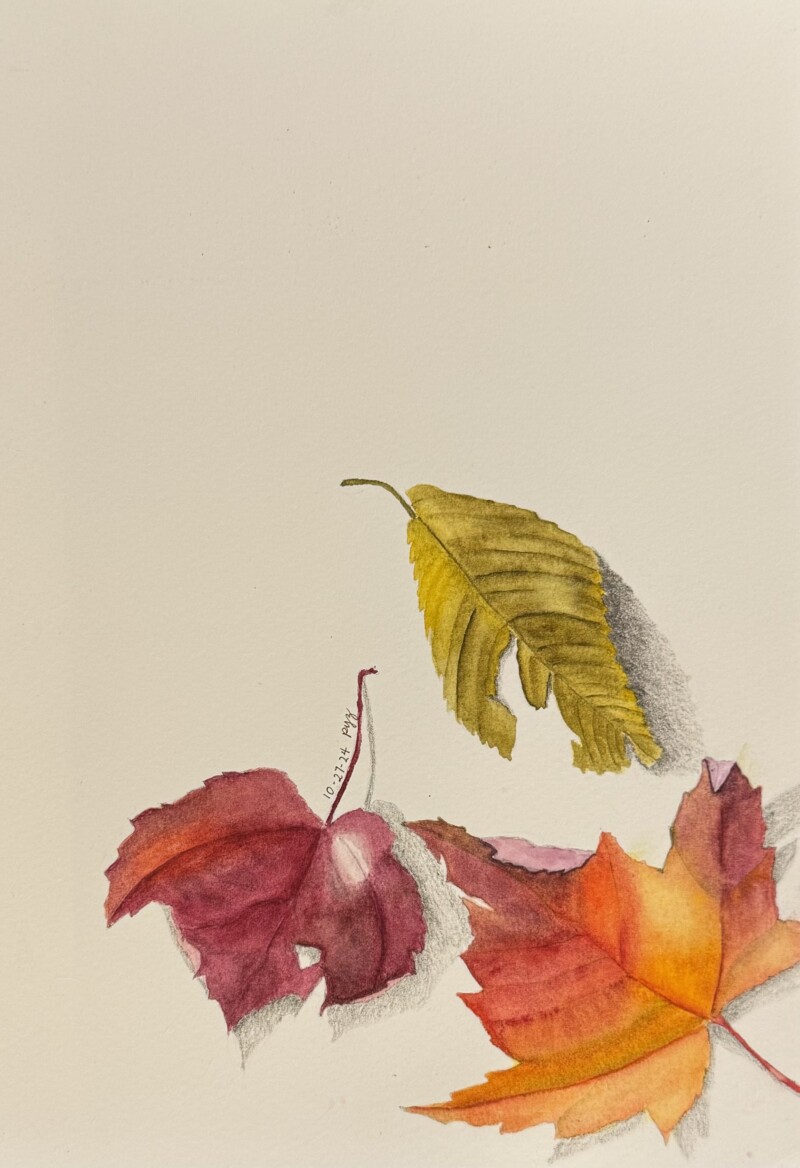 24-1027-leaves