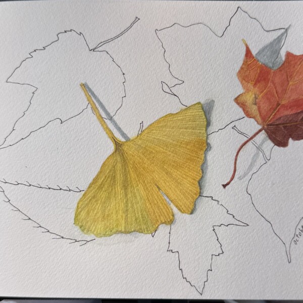25 1012 leaves