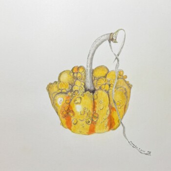 25-1108-old-chatham-squash