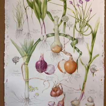 onion-family-painting