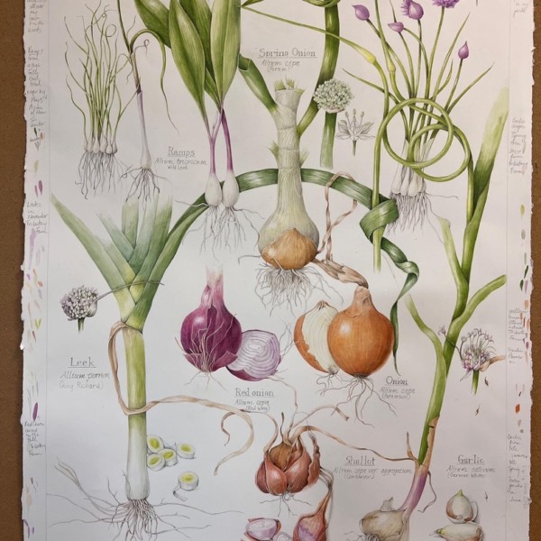 Onion Family Painting