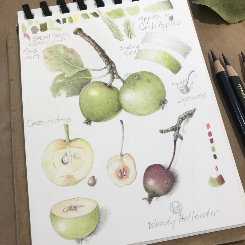 teaching-demo-page-of-apples-snow-farm-workshop