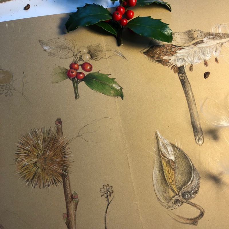 working-on-stonehenge-kraft-paper-milkweed-holly-horse-chestnut-and-joe-pyeweed