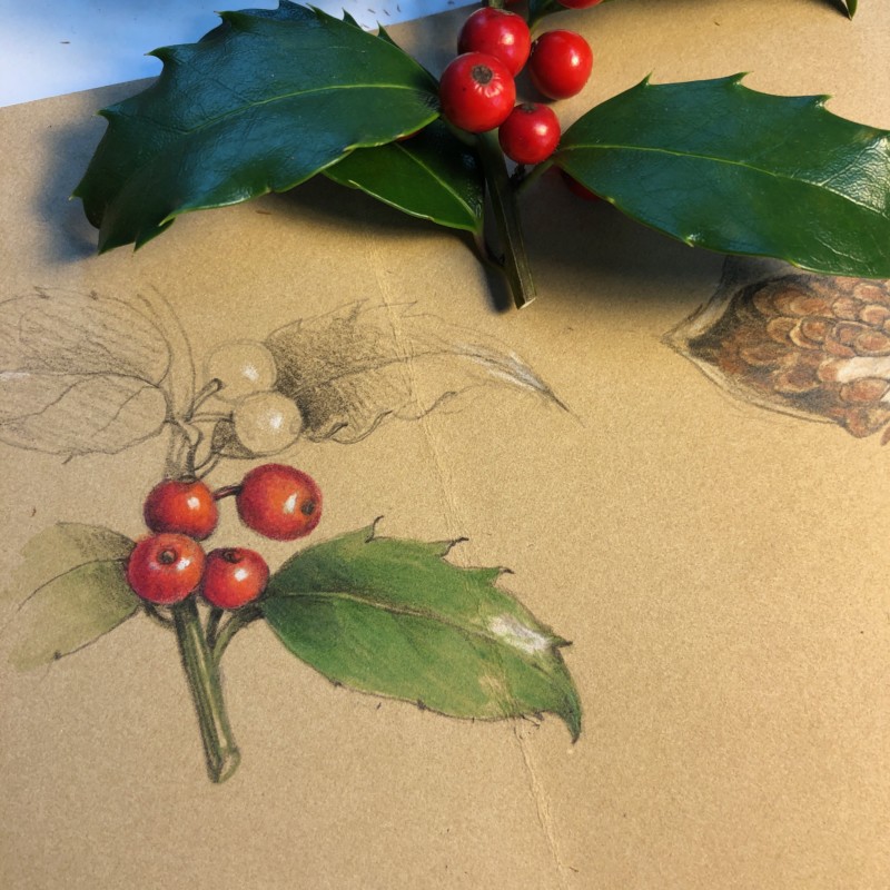 holly-3