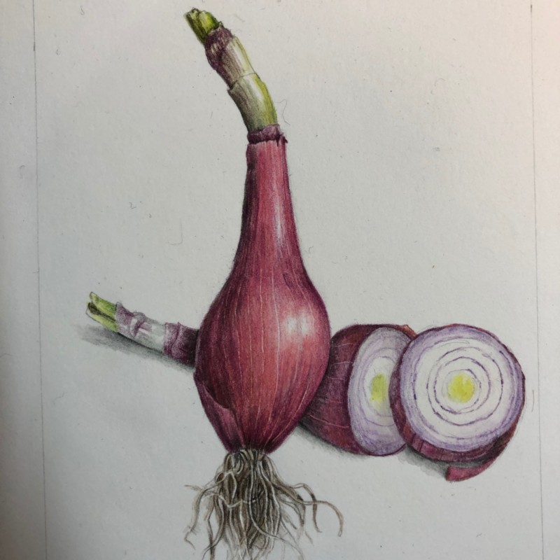 red-onion-2