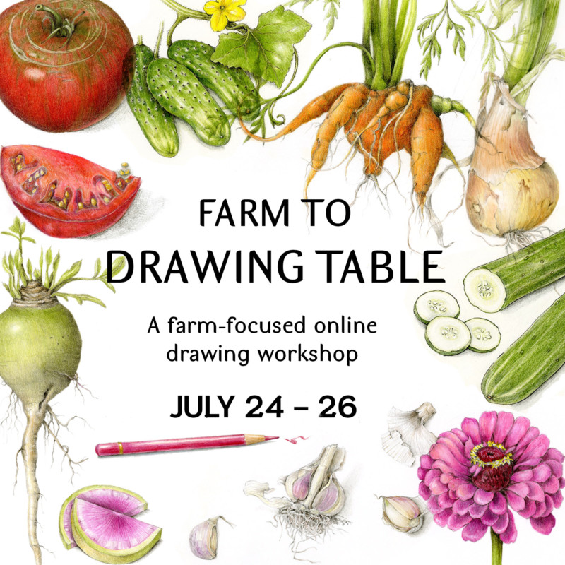 farm-to-drawing-table