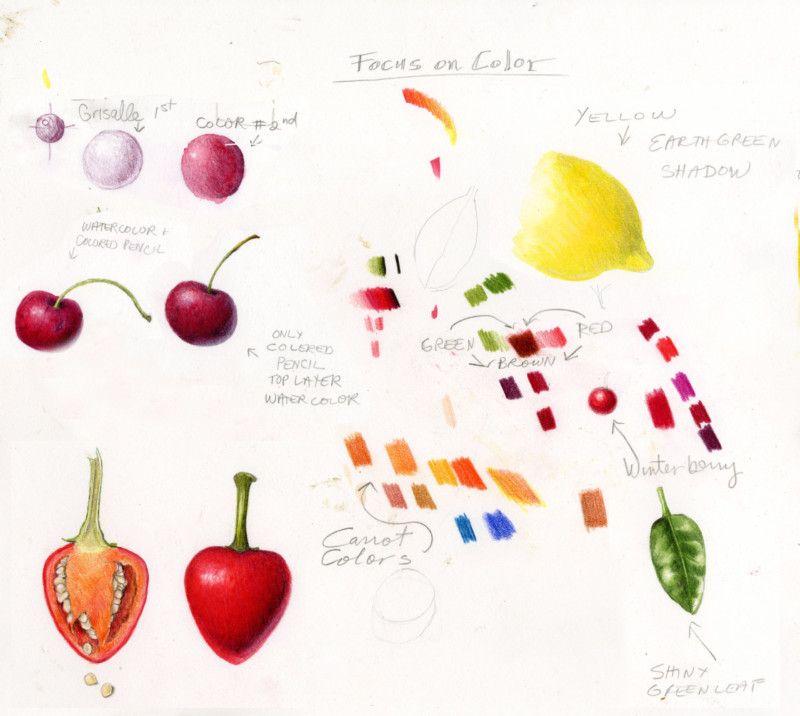 focus-on-color-workshop-demo