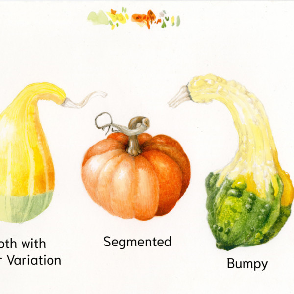 Three Gourds in work