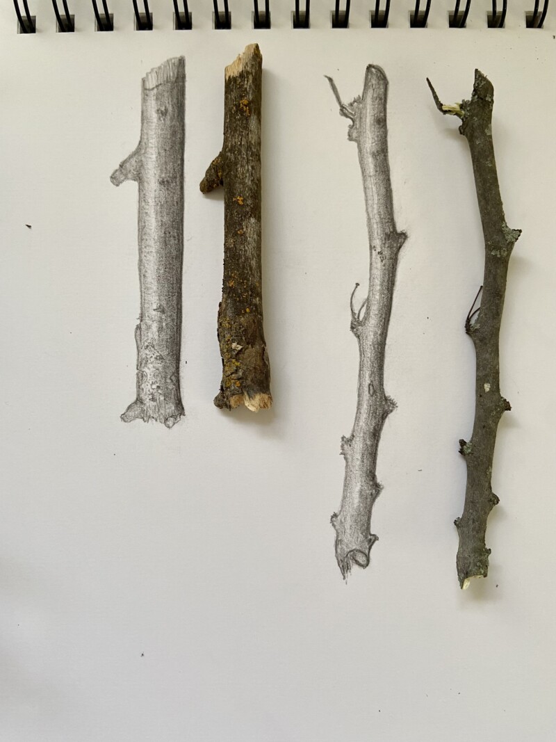 cylinder-to-branch-2