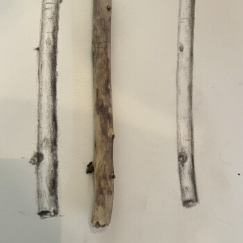 branches-9