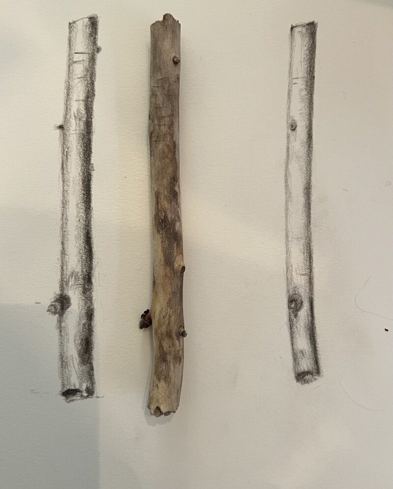 branches-9
