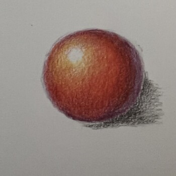 cherry-tomato-6