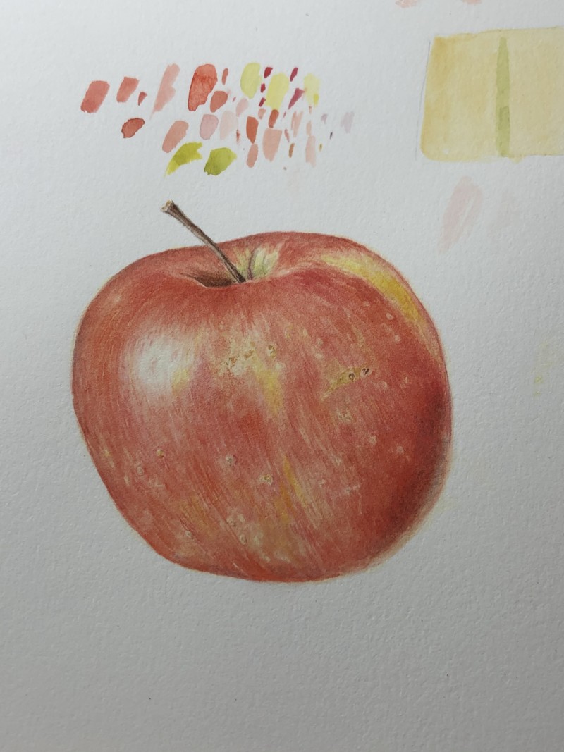 apple-watercolor