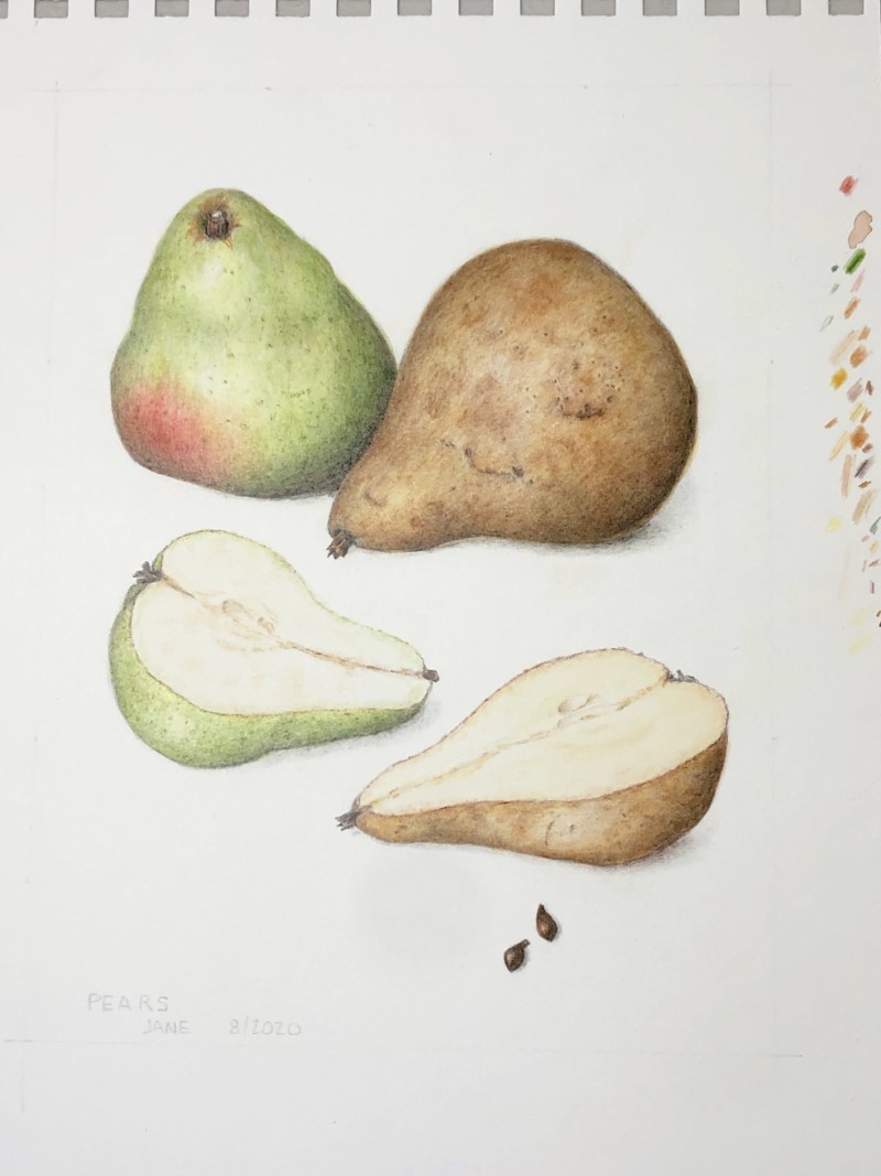 pear-workshop-2
