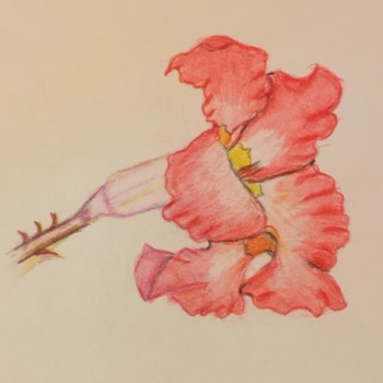 tubular-flower