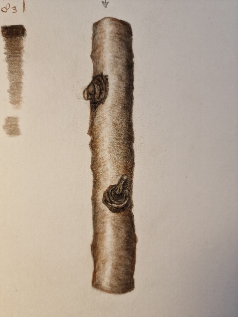study-object-branche-04-11-2023