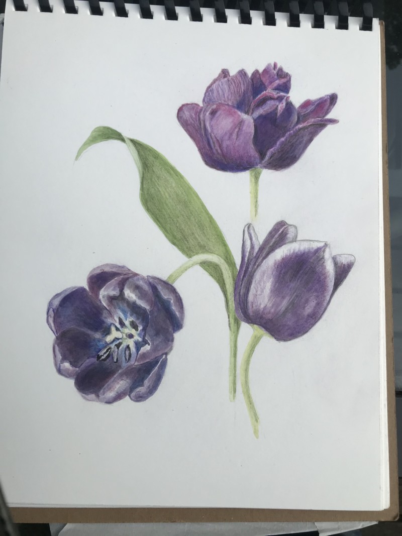 black-tulips-step-2