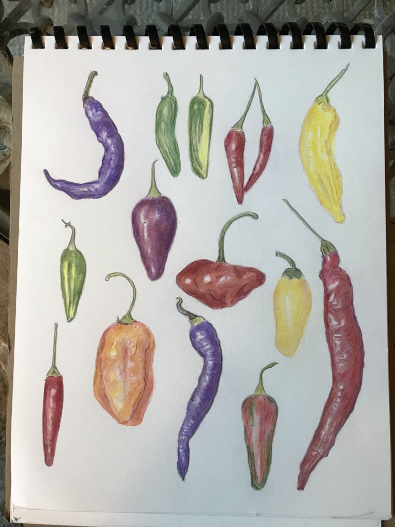 fall-peppers-georgetown-market