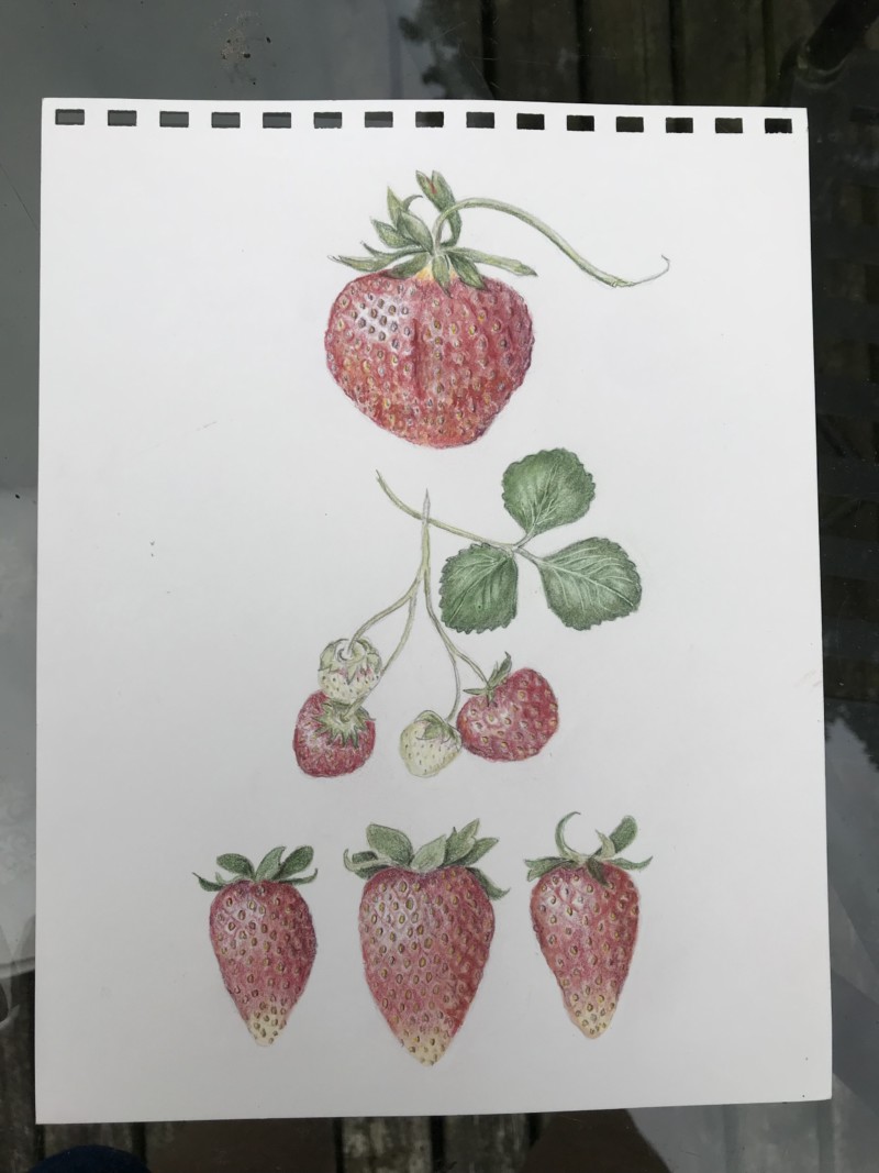 three-strawberries