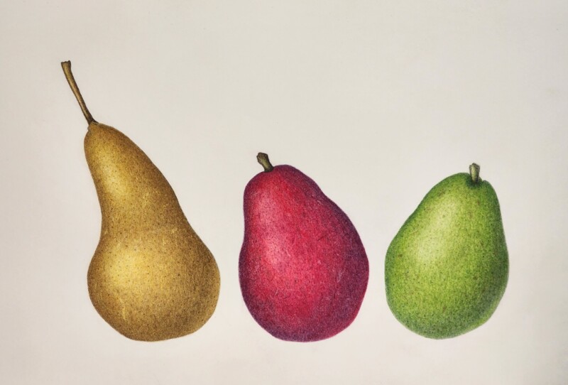 pearsonality