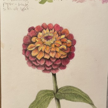 zinnia-spring-2022-workshop